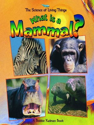 cover image of What is a Mammal?